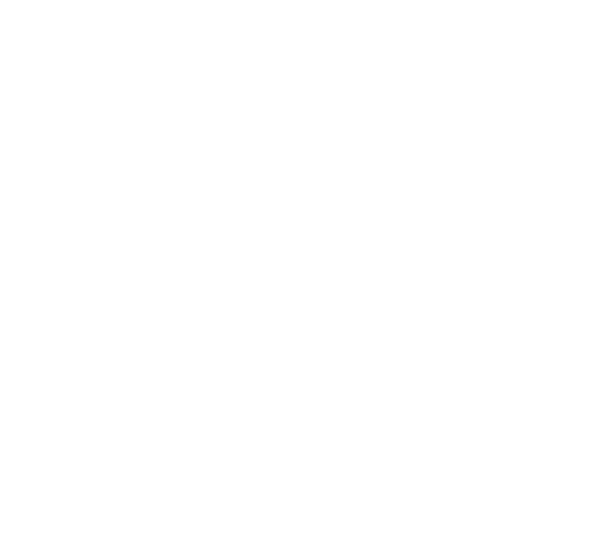 Gomes Eventos — Eventos Personalizados